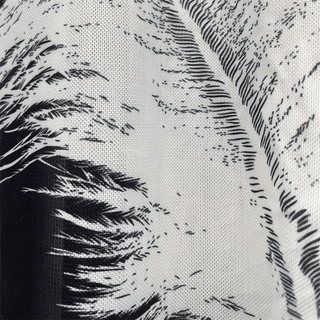 Feather Body